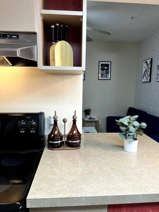 Apartment Midtown Flat Near Overton Park & Downtown Memphis